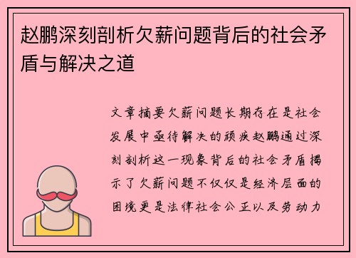 赵鹏深刻剖析欠薪问题背后的社会矛盾与解决之道