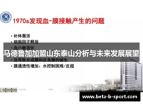 马德鲁加加盟山东泰山分析与未来发展展望